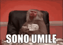 umile umilt%C3%A0 quanta umilt%C3%A0 come sei umile come sono umile umile umilt%C3%A0 quanta umilt%C3%A0 come sei umile come sono umile