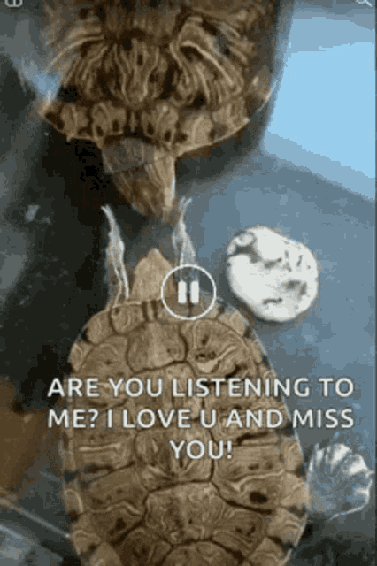 Are You Listening To Me I Love You GIF - Are You Listening To Me I Love You Miss You GIFs