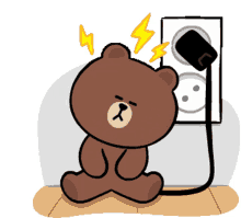 bear plug