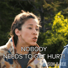 Nobody Needs To Get Hurt Sarah Truong GIF - Nobody Needs To Get Hurt Sarah Truong Hudson And Rex GIFs