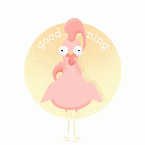 Good Morning Chicken GIF - Good Morning Morning Chicken GIFs