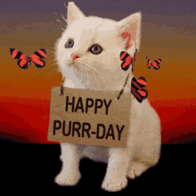 Happy Birthday Caturday GIF - Happy Birthday Caturday Kitten And Butterflies GIFs