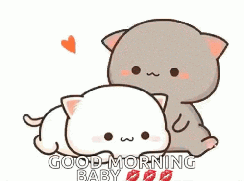 kitty-love.gif