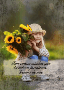 bom dia good morning flower quotes butterfly bom dia good morning flower quotes butterfly