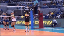 ustwvt gouste womens volleyball ustwvt gouste womens volleyball