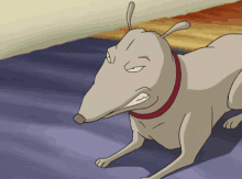 Code Lyoko Kiwi GIF - Code Lyoko Kiwi Dog GIFs