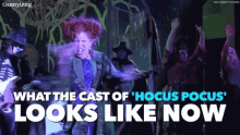 Hocus Pocus Feisty GIF - Hocus Pocus Feisty Spirited GIFs