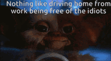 Gremlin Free GIF - Gremlin Free Driving Home GIFs