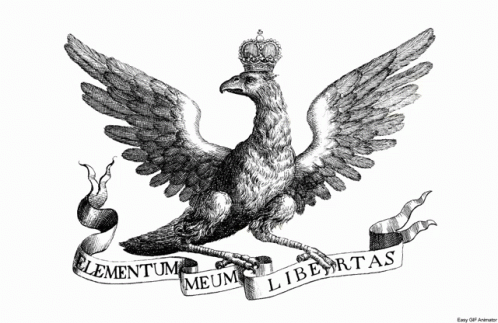 Elementum Meum Libertas Konstytucja Rzeczypospolitej Polskiej GIF - Elementum Meum Libertas Konstytucja Rzeczypospolitej Polskiej Bird - Discover &amp; Share GIFs