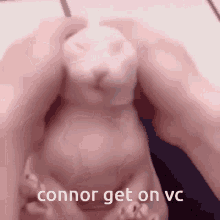 Connor Get GIF - Connor Get On GIFs
