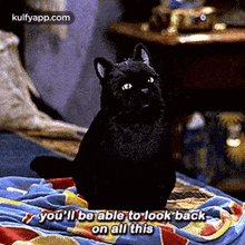 You'Ll Be Able To Look Backon All This.Gif GIF - You'Ll Be Able To Look Backon All This Black Cat Pet GIFs