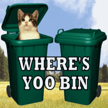Where Have You Been Where Are You GIF - Where Have You Been Where Are You Bins GIFs