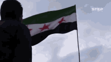 Syrian Freedom GIF - Syrian Freedom Freedom Flag GIFs