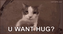 Hugs U Want Hug GIF - Hugs U Want Hug You Want Hug GIFs
