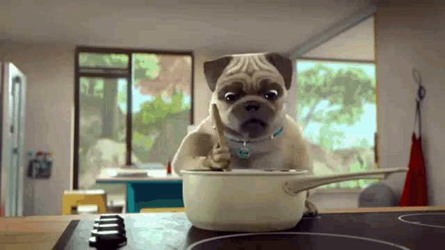 A Dog Cooking