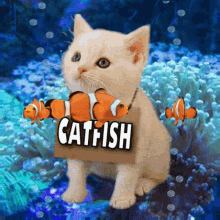 catfish fake profile pretender deceive impersonator