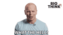 What The Hell Tim Ferriss GIF - What The Hell Tim Ferriss Big Think GIFs