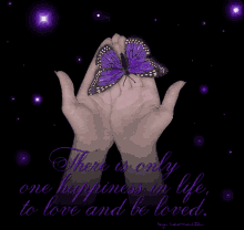 Happiness Butterfly GIF - Happiness Butterfly Purple GIFs