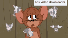 Tom And Jerry Mouse GIF - Tom And Jerry Mouse Rat GIFs