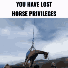 meme horse