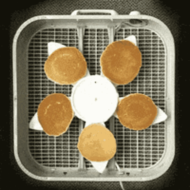 Pancakes Fan GIF Pancakes Fan Breakfast Discover & Share GIFs