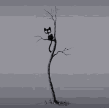 cat creepy tree black cat