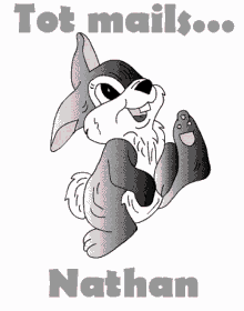 nathan nathan name tot mails name rabbit