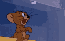 Tali Jerry GIF - Tali Jerry GIFs