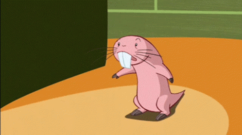 rufus kim possible rufus kim possible