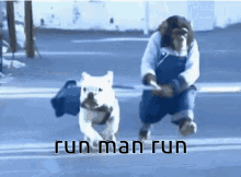 Run Away Monkey GIF - Run Away Monkey Dog GIFs