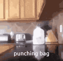 Efehan Punching Bag GIF - Efehan Efe Punching Bag GIFs