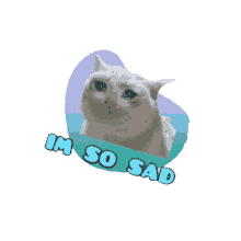 teary cat