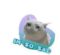 Im So Sad Cat Sticker - Im So Sad Cat Kitty Stickers