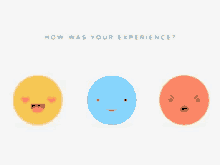 Experience How Was Your Experience GIF - Experience How Was Your Experience GIFs