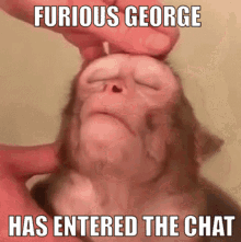 Wsb George GIF - Wsb George GIFs