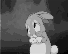 Rabbit Bunny GIF - Rabbit Bunny Sad GIFs