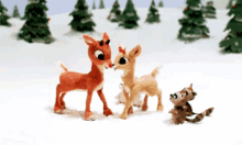 Rudolph Rudolph And Clairese GIF - Rudolph Rudolph And Clairese GIFs