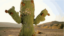 Cactus Many Eyes GIF - Cactus Many Eyes Desert GIFs