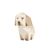 quieres dog low poly animated dog 3d animation quieres quieres dog low poly animated dog 3d animation quieres