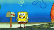 Spongebob Patrick Star GIF - Spongebob Patrick Star What GIFs