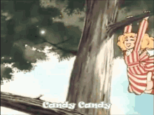 Candycandy Candywhite GIF - Candycandy Candywhite Candy GIFs