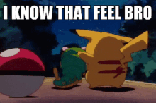 Pokemon I Know That Feel Bro GIF - Pokemon I Know That Feel Bro Pikachu GIFs