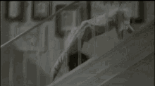 Exorcist The GIF - Exorcist The Spider GIFs