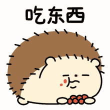 spikethe hedgehog munch animal cute adorable spikethe hedgehog munch animal cute adorable