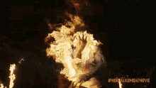 Fire Liu Kang GIF - Fire Liu Kang Mortal Kombat GIFs