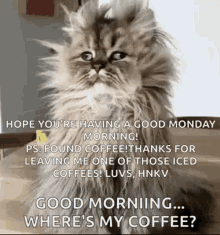 Good Morning Coffee GIF - Good Morning Coffee Wheres My Coffee GIFs