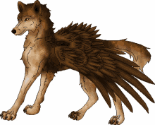 winged wolf canine fantasy creature