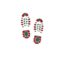 footprints shoe prints shoe print