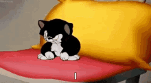 cat annoyed grumpy kitty mad cat annoyed grumpy kitty mad