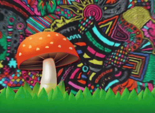 Trippy Mushroom GIF - Trippy Mushroom Psychedelic GIFs